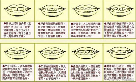 下排牙齒面相|2024年你的牙齒面相代表什麼？倒及牙、哨牙⋯ 